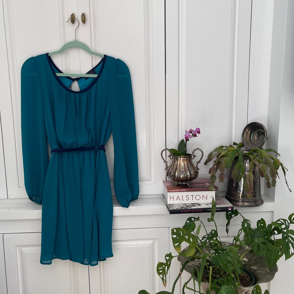 Blue Wish cinched mini dress